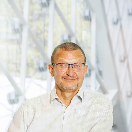 Zsolt Szelecki